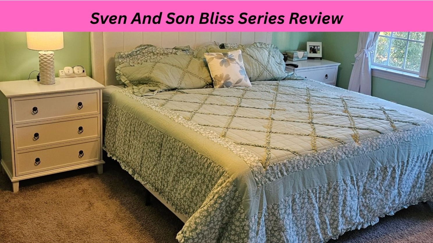 Sven and Son Bliss Series Review