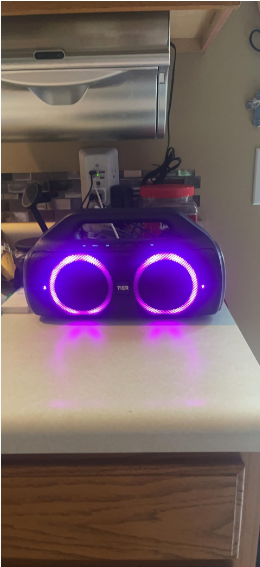 Portable Bluetooth Speakers