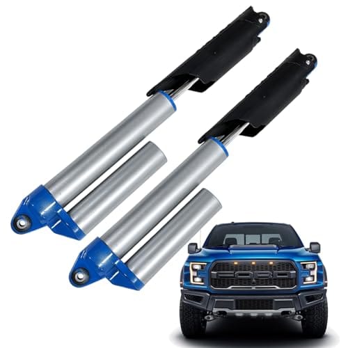 GZYGZAP Rear Shock Absorber Struts for Ford F150 SVT Raptor STX - 2 Pack, OEM BL...