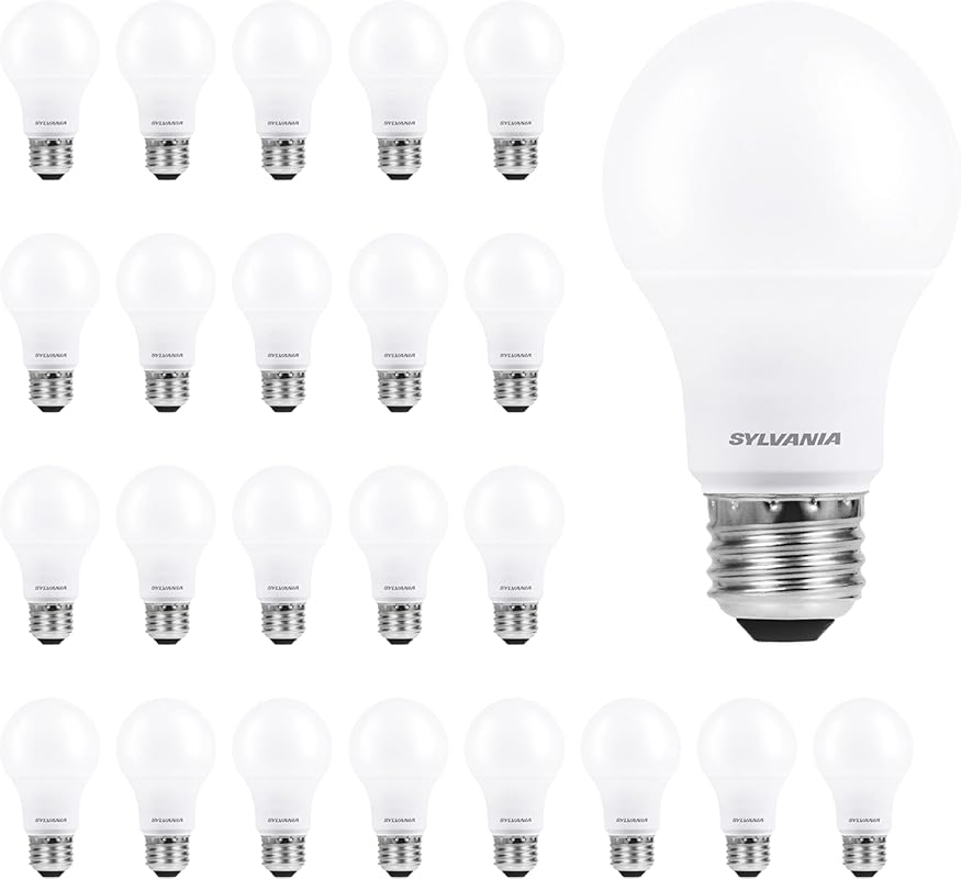 24-Pack A19 LED Light Bulbs: 60W Equivalent Daylight 5000K, 750 Lumens