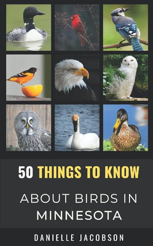 50 Key Insights for Birding in Minnesota: Explore the State's Best Bir