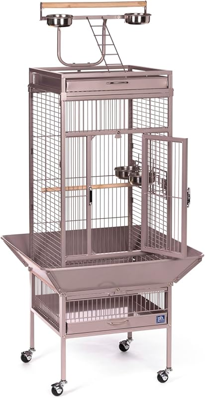 Budget-Friendly Playtop Bird Cage with Stand for Parrots and Cockatiel