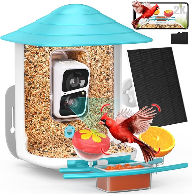 birdsnap TUC Bird Feeder with 2K HD Camera. Solar Powered, AI Identifi