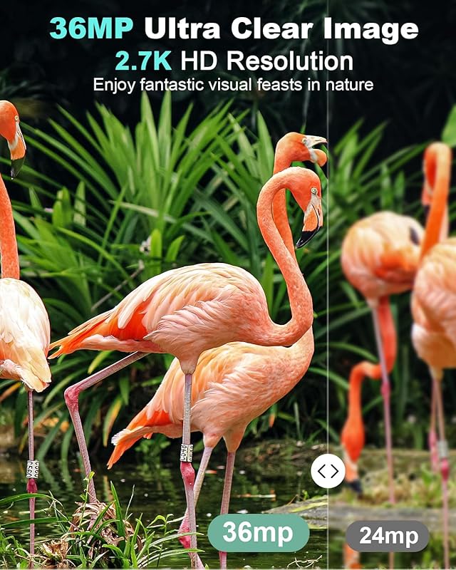 Best KJK Mini Trail Camera: 36MP, Night Vision, Waterproof, and Fast 0