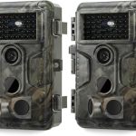 Top 5 Best Trail Cameras for Bird Watching: Expert Picks