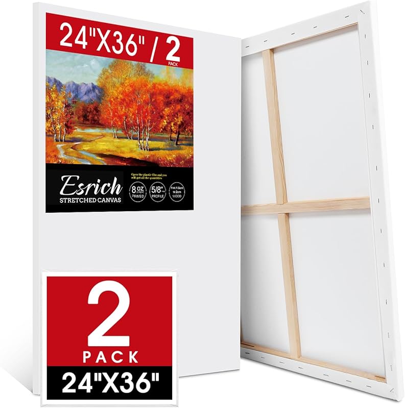 Excellent large 24x36 inch stretched canvas 2-pack, primed acid-free c